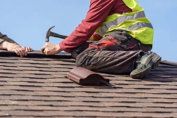 Best Roof Gutter Cleaning  in Ohioville, PA